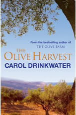 The Olive Harvest