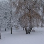 Winter 2012