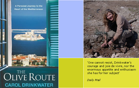 The Olive Route