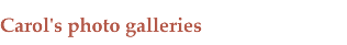 Carol's photo galleries